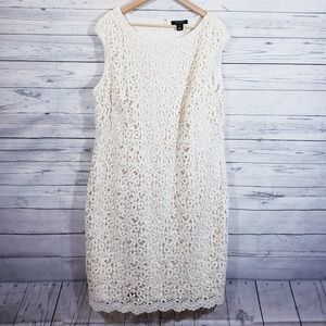 Plus Size Ralph Lauren Lace Dress